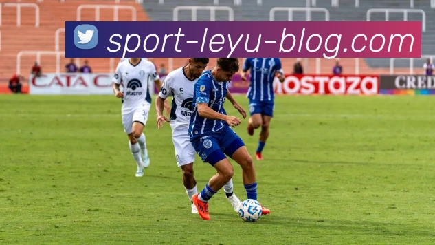 乐鱼体育平台生态图