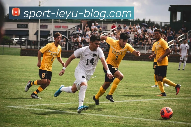 乐鱼体育全站App